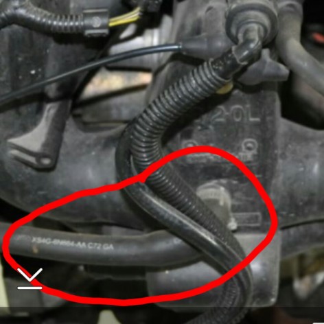 What hose is this Auto repair